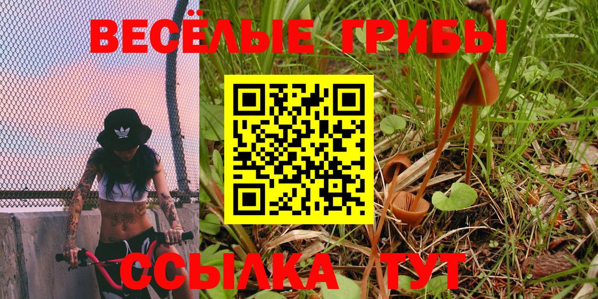Галлюциногенные грибы мухоморы Печора