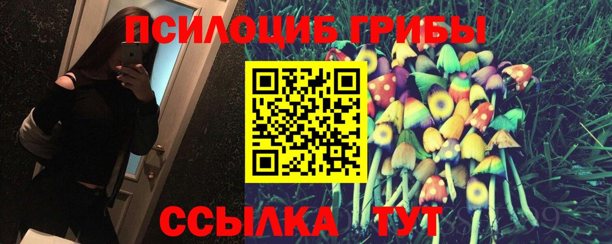 Галлюциногенные грибы Psilocybe  Вход с VPN  что такое   Печора 